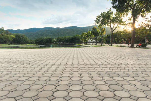 Best Decorative Driveway Pavers  in Lackawanna, NY